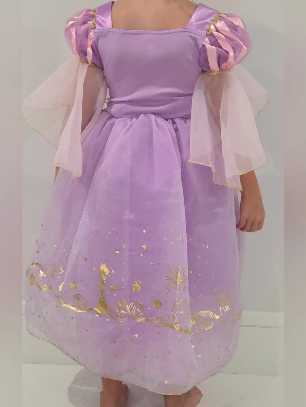 Repunzel Disney Purple and Gold Enchanted Princess Costume